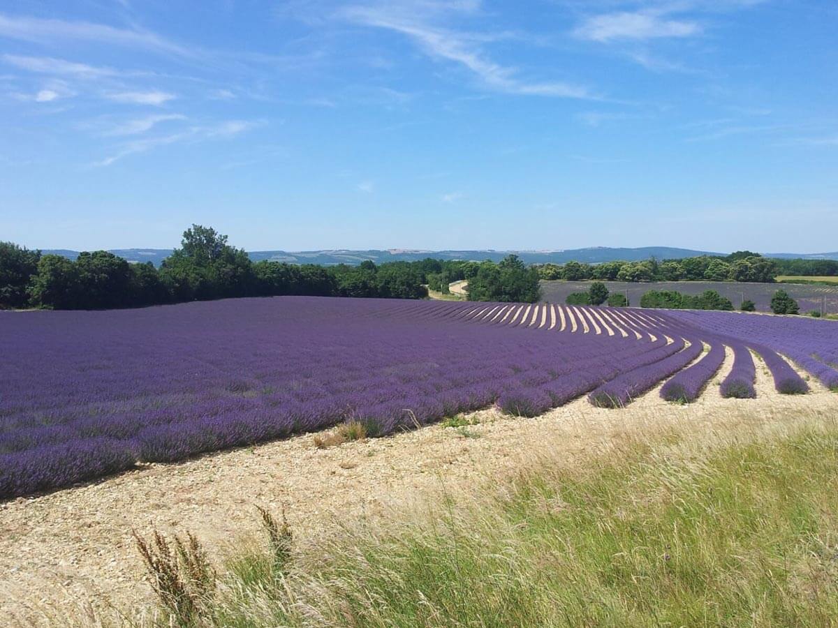 The Region At The Gates Of The Luberon In Provence Paca